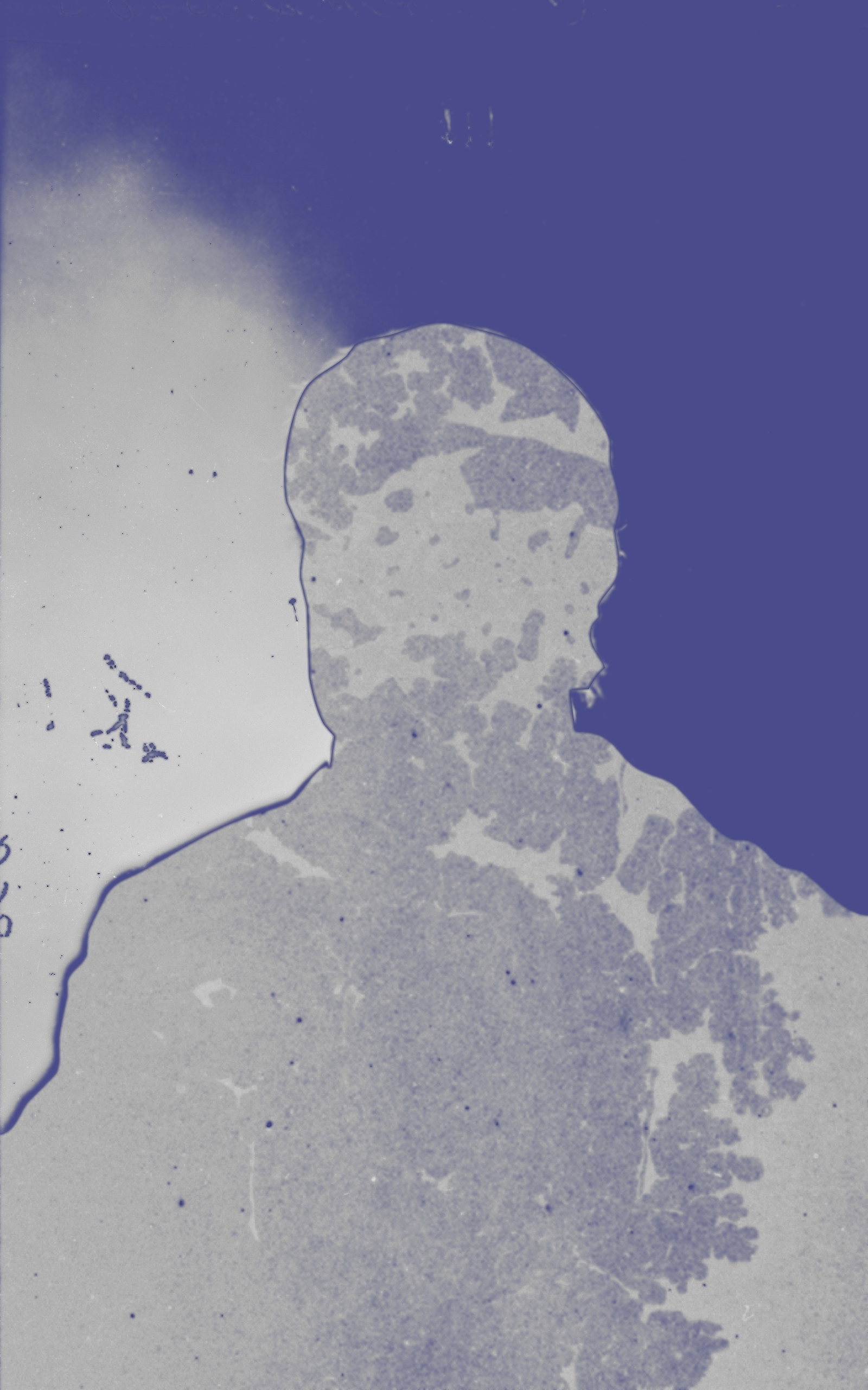 no identifying features