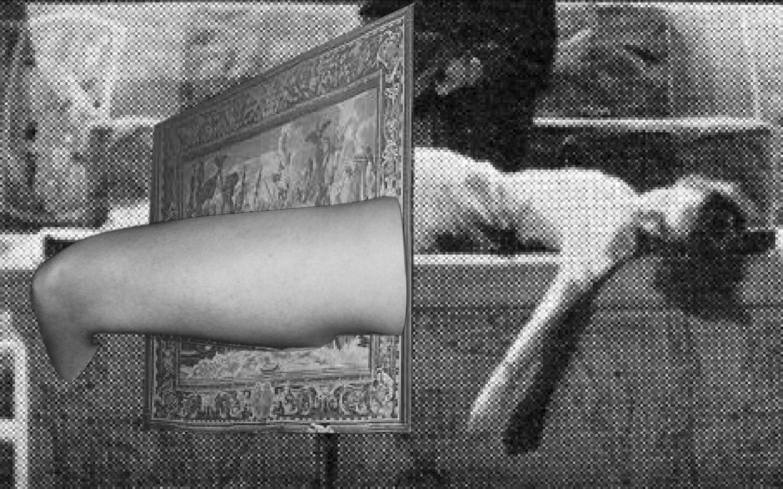 magician’s assistant