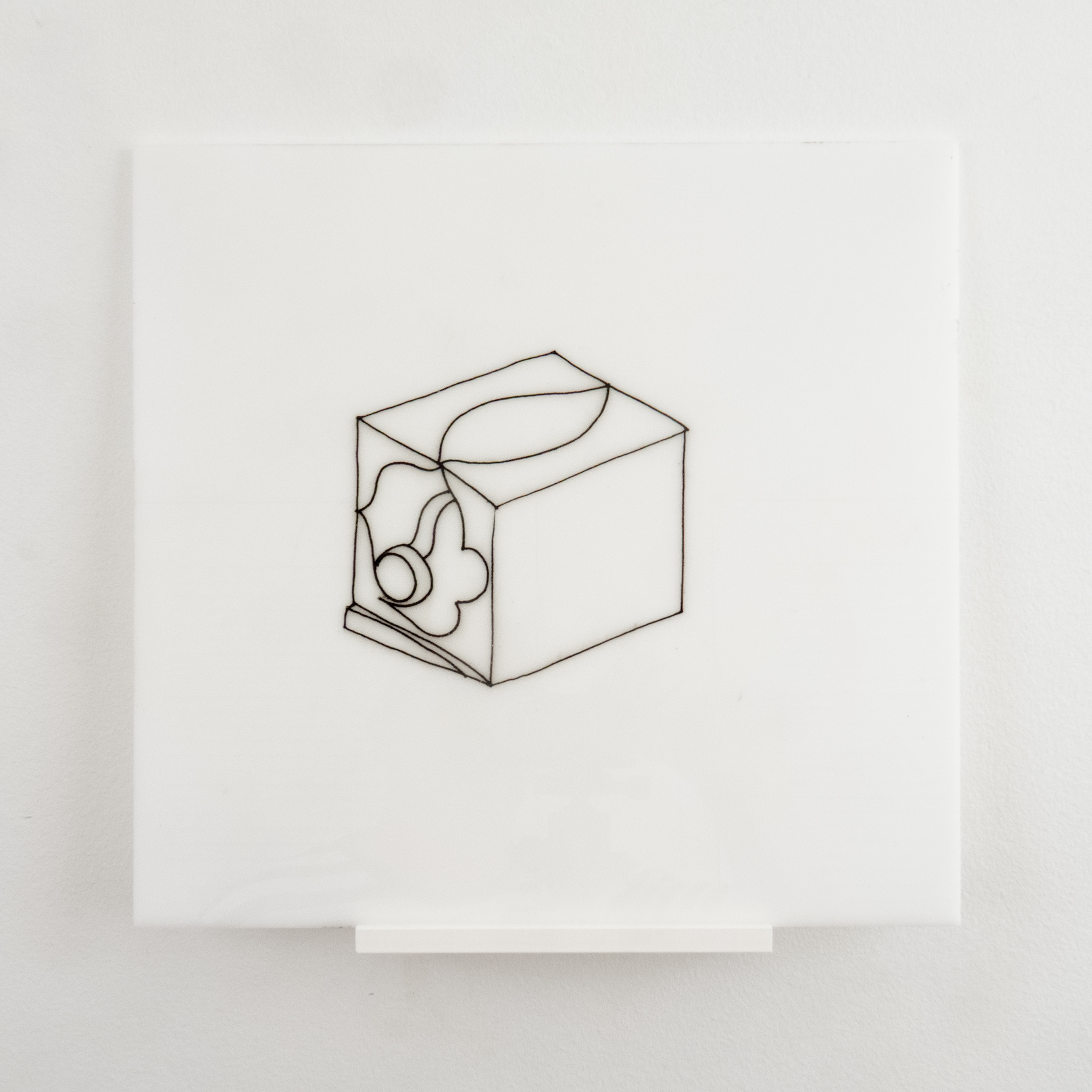 camera for invasive species